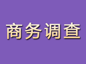 登封商务调查